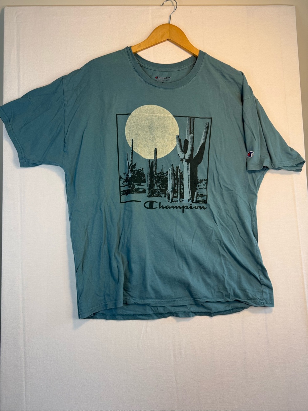 Champion Men’s Seafoam Green Desert Graphic Short Sleeve Tee